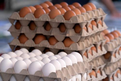 many fresh eggs at the market detail